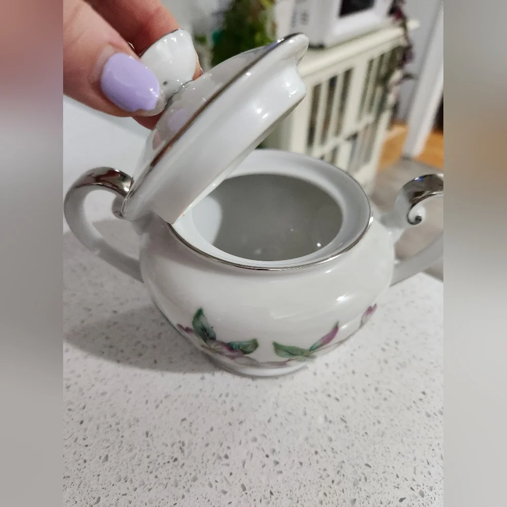 Spring China Taxco Creamer and Sugar Set!